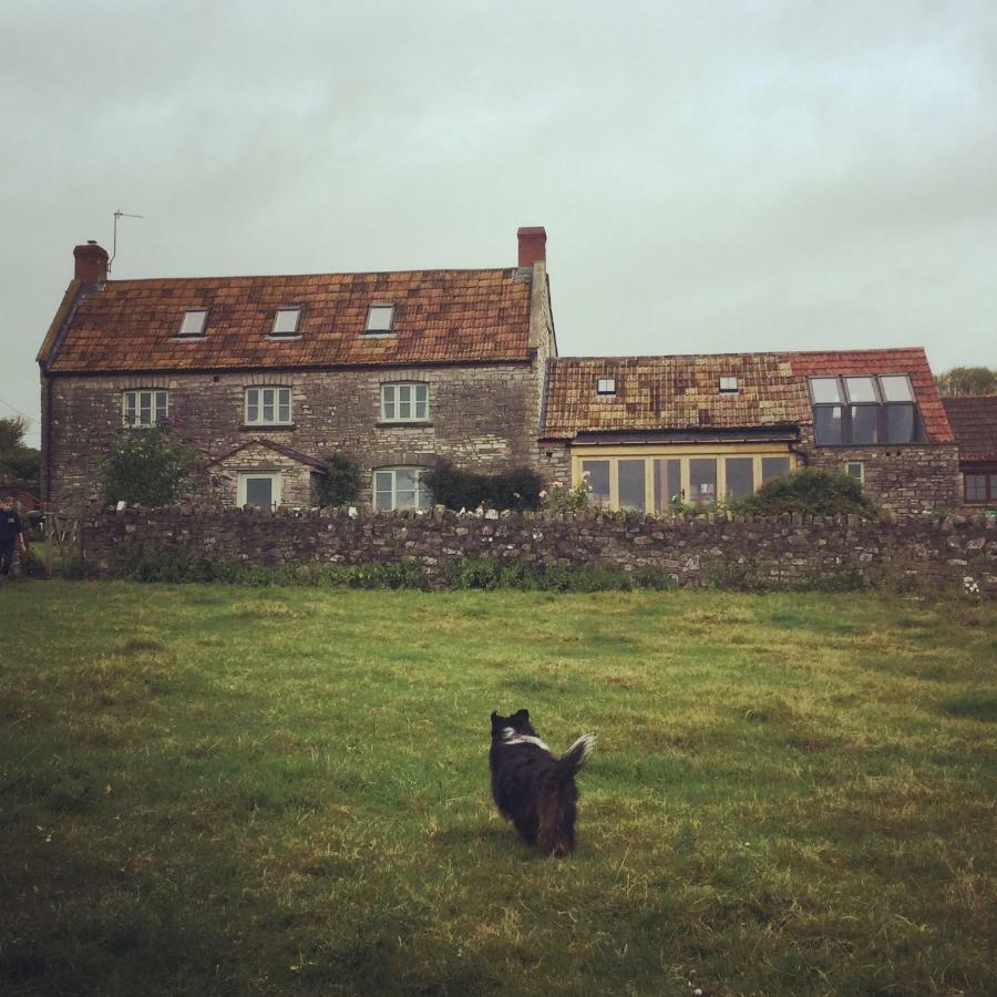 Castle Farm Bed and Breakfast Wedmore Exteriör bild