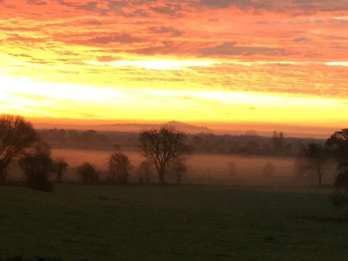 Castle Farm Bed and Breakfast Wedmore Exteriör bild