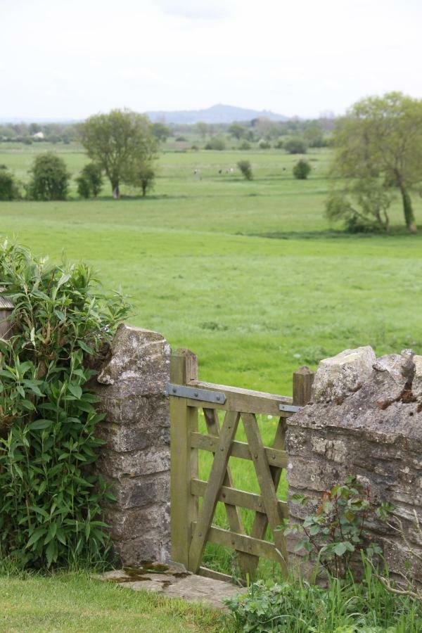 Castle Farm Bed and Breakfast Wedmore Exteriör bild