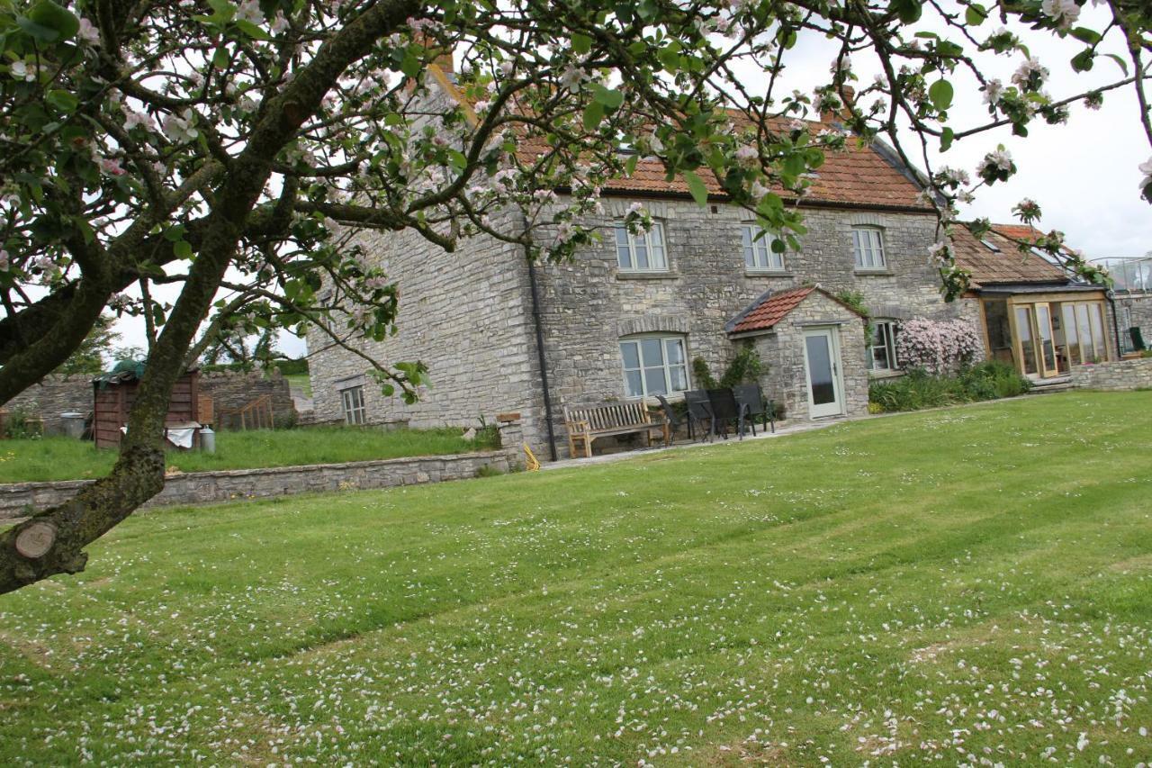 Castle Farm Bed and Breakfast Wedmore Exteriör bild
