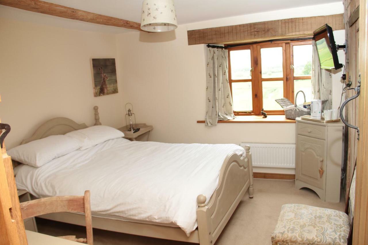 Castle Farm Bed and Breakfast Wedmore Exteriör bild